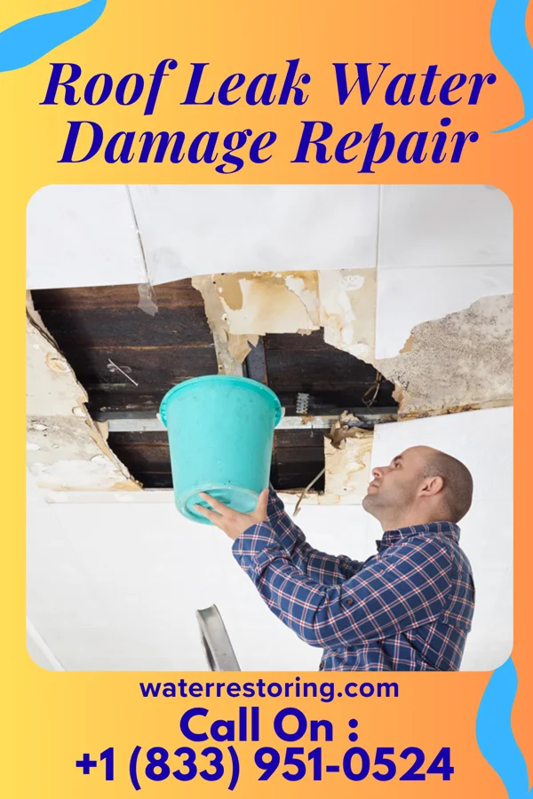 Roof Leak Water Damage Repair in Mountain City, TX